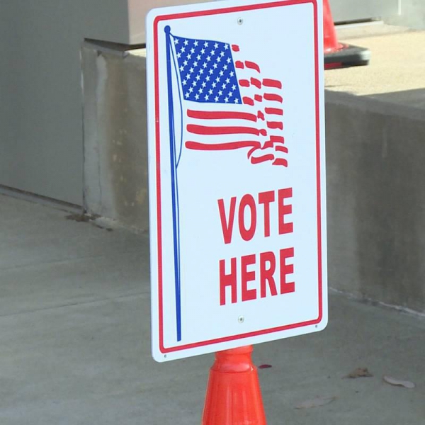 Photo for Clerk Meadows announces Early Voting Turnout